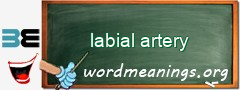 WordMeaning blackboard for labial artery